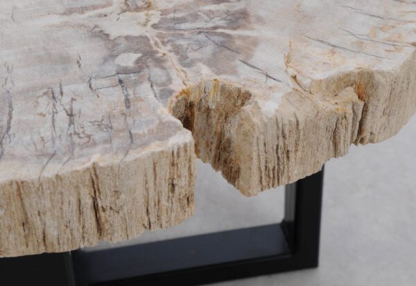 Coffee table petrified wood 48176