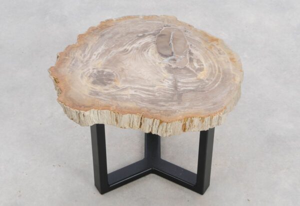 Coffee table petrified wood 48177