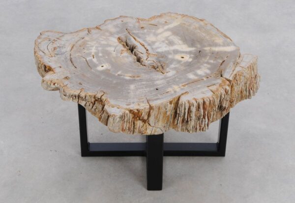 Coffee table petrified wood 48178