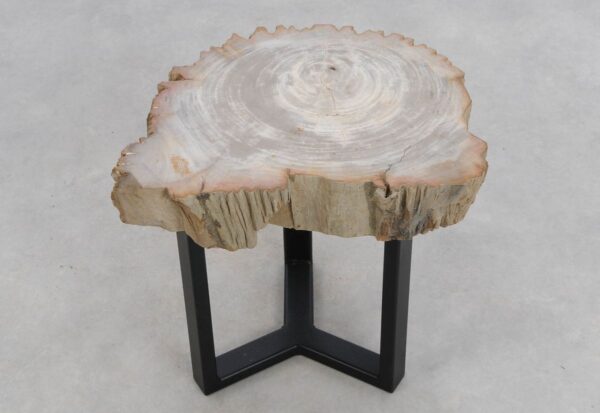 Coffee table petrified wood 48185