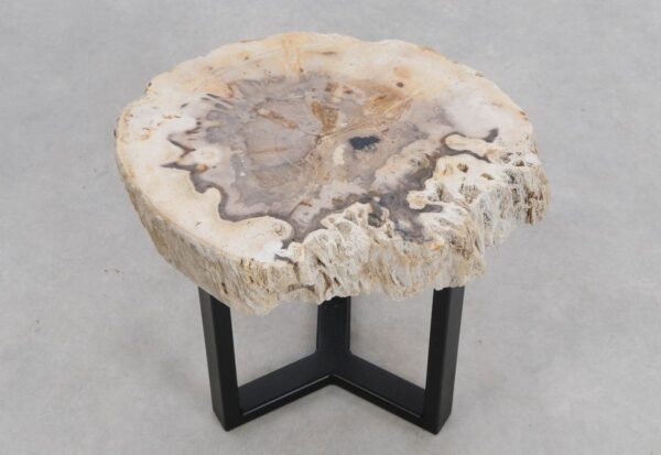 Coffee table petrified wood 48188
