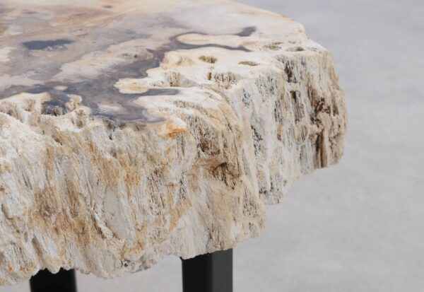 Coffee table petrified wood 48188