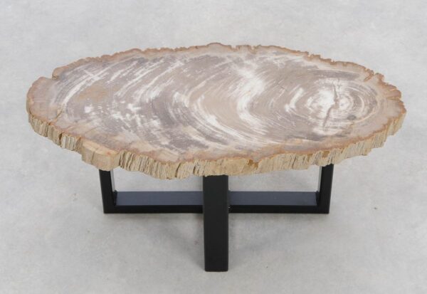 Coffee table petrified wood 48200