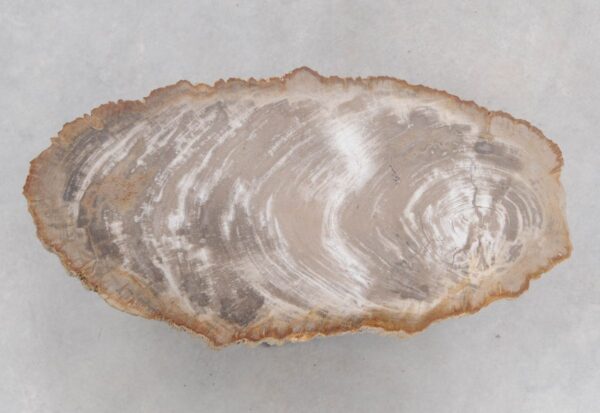 Coffee table petrified wood 48201