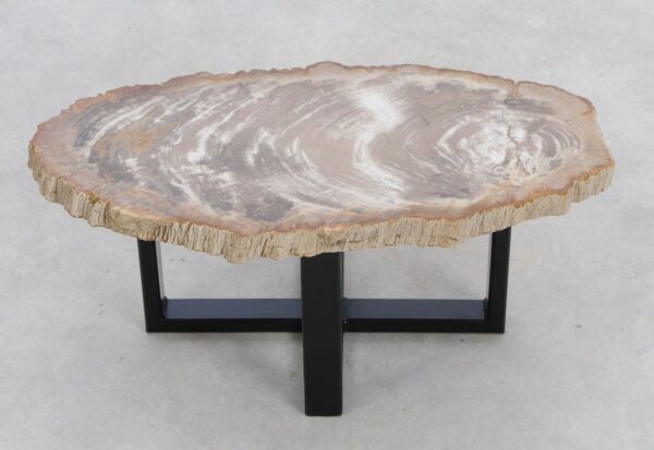 Coffee table petrified wood 48201