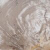 Coffee table petrified wood 48201