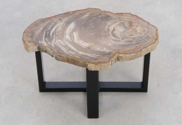 Coffee table petrified wood 48202