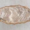 Coffee table petrified wood 48204