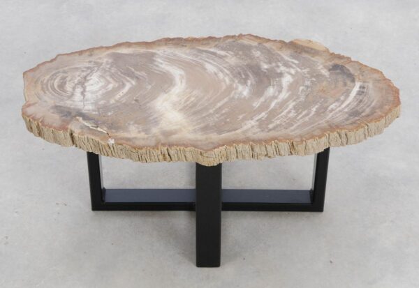 Coffee table petrified wood 48204