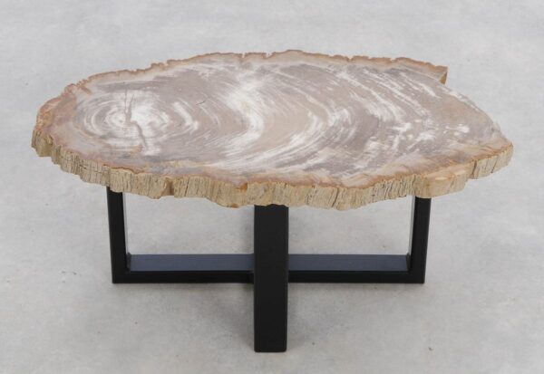 Coffee table petrified wood 48205