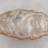 Coffee table petrified wood 48206