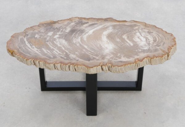 Coffee table petrified wood 48206