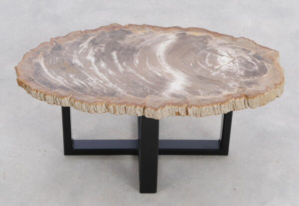 Coffee table petrified wood 48207