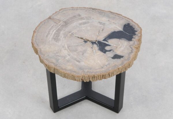 Coffee table petrified wood 48248