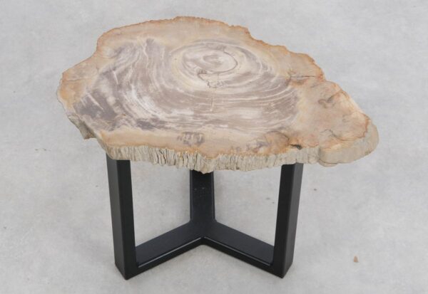 Coffee table petrified wood 48249