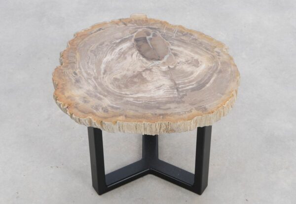 Coffee table petrified wood 48264