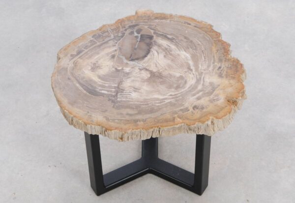 Coffee table petrified wood 48265