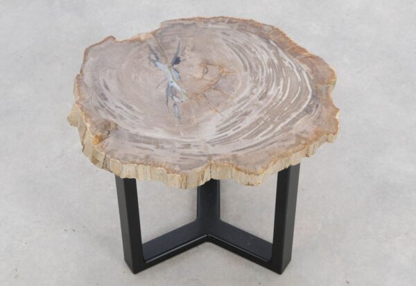 Coffee table petrified wood 48266