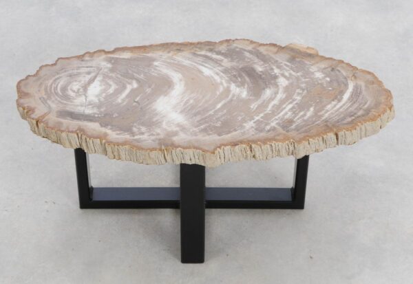 Coffee table petrified wood 48269