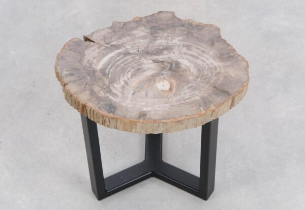Coffee table petrified wood 48332