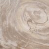 Couchtisch versteinertes Holz 48249