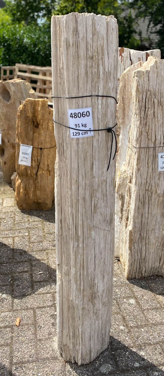 Grabstein versteinertes Holz 48060