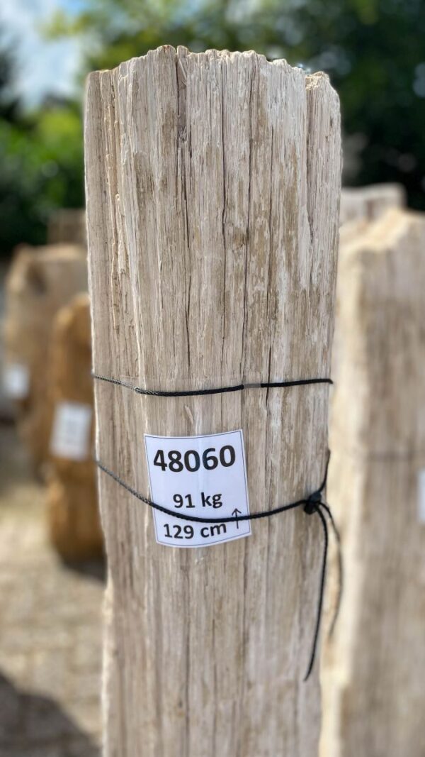 Grabstein versteinertes Holz 48060