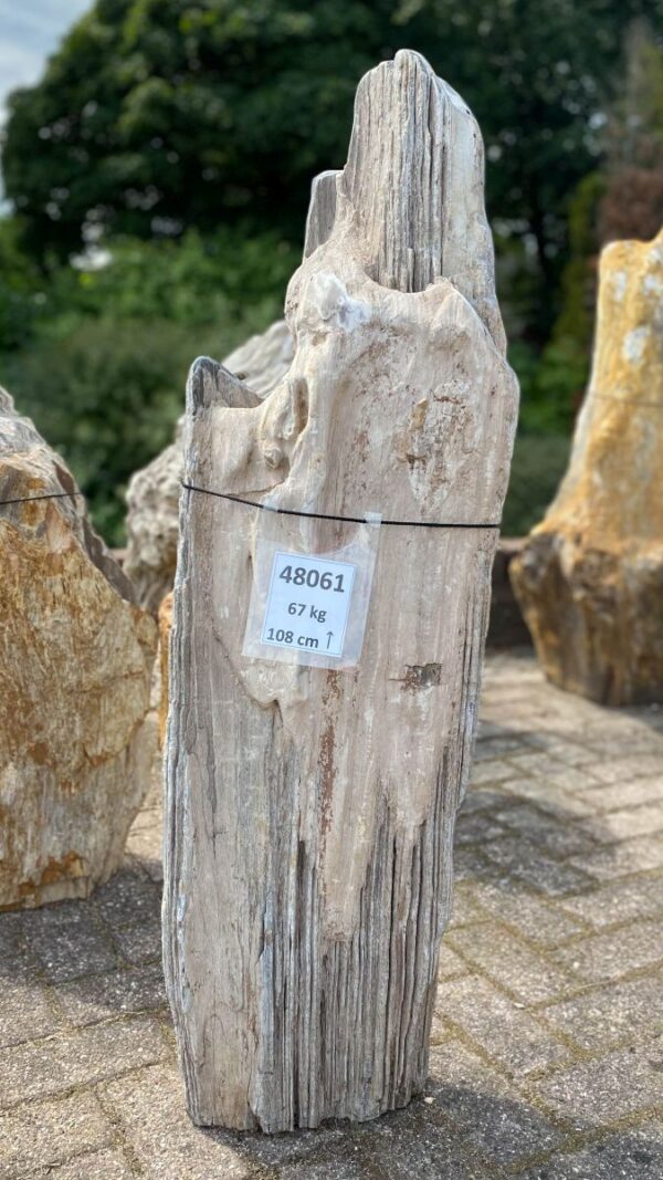 Grabstein versteinertes Holz 48061