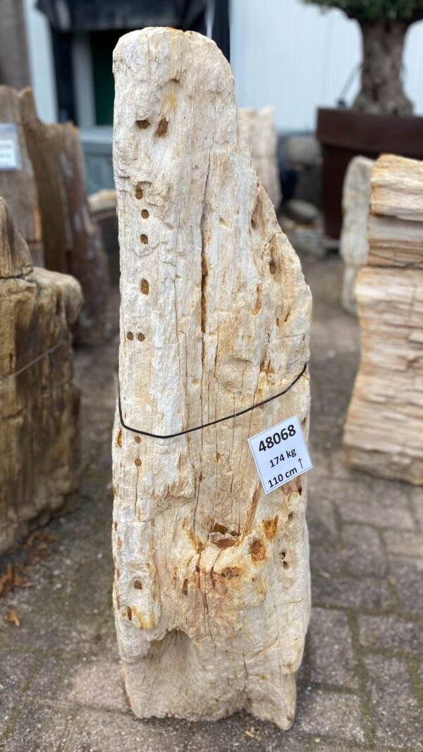 Grabstein versteinertes Holz 48068