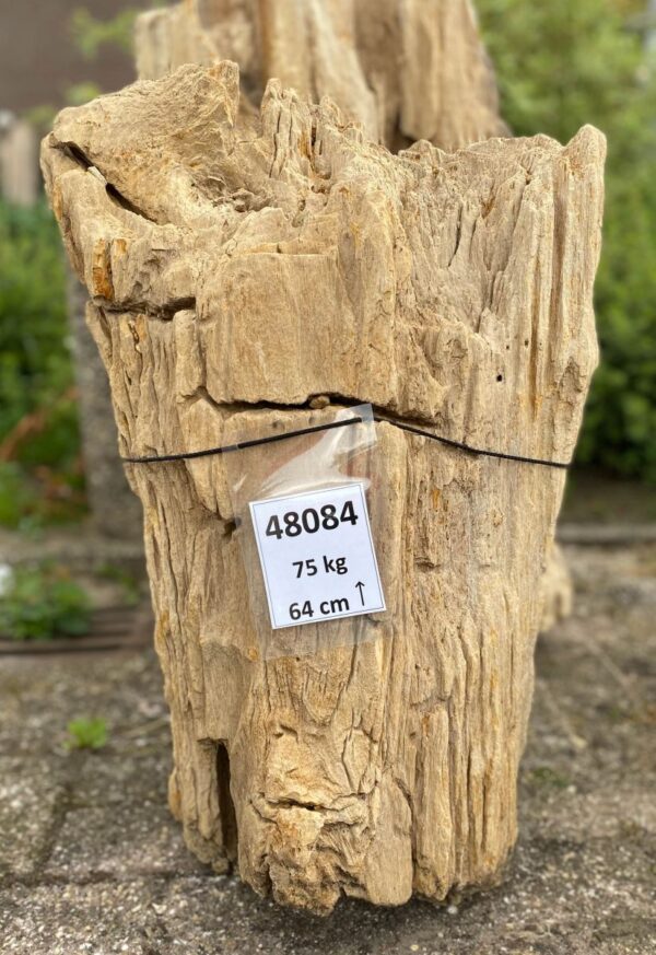 Grabstein versteinertes Holz 48084