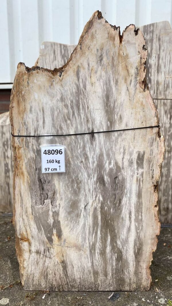 Grabstein versteinertes Holz 48096