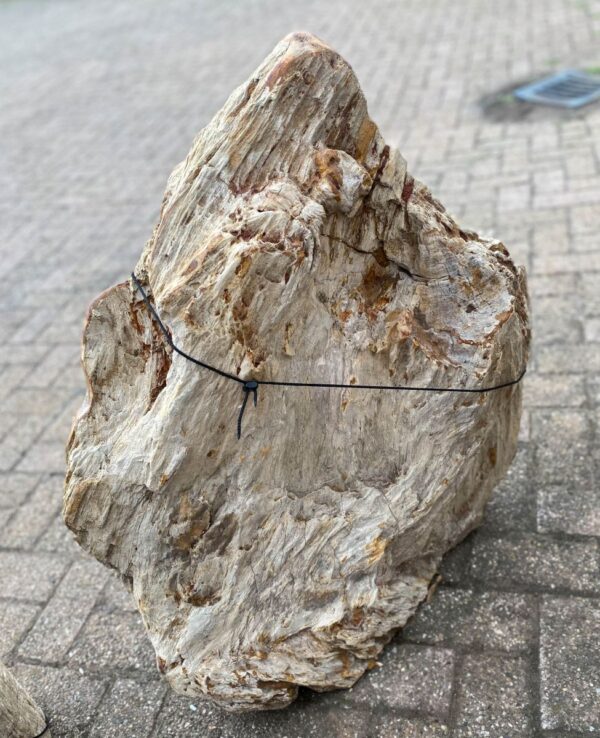 Grabstein versteinertes Holz 48111