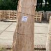 Grafsteen versteend hout 48078