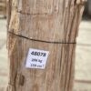 Grafsteen versteend hout 48078