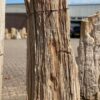 Grafsteen versteend hout 48078