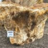 Grafsteen versteend hout 48082