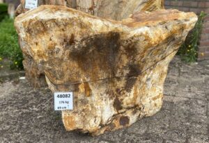Grafsteen versteend hout 48082