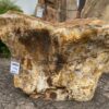 Grafsteen versteend hout 48082