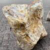 Grafsteen versteend hout 48082