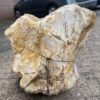 Grafsteen versteend hout 48082