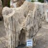 Grafsteen versteend hout 48085
