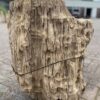 Grafsteen versteend hout 48085
