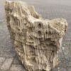 Grafsteen versteend hout 48085