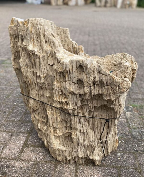 Grafsteen versteend hout 48085