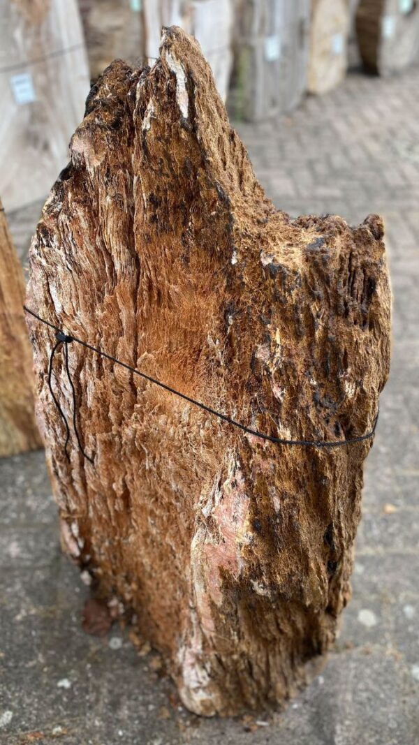 Grafsteen versteend hout 48096