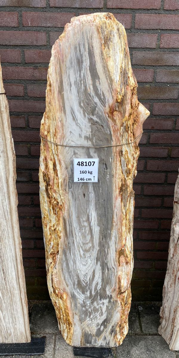 Grafsteen versteend hout 48107