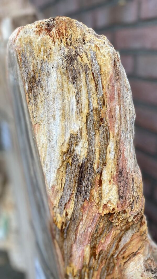 Grafsteen versteend hout 48107