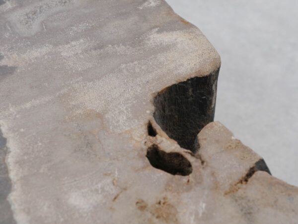 Grafsteen versteend hout 48121