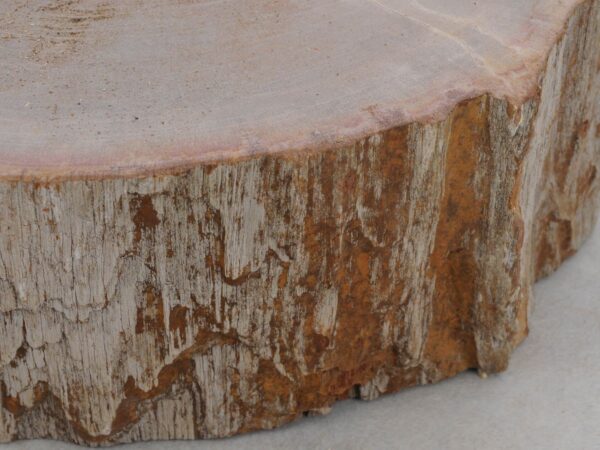 Grafsteen versteend hout 48183