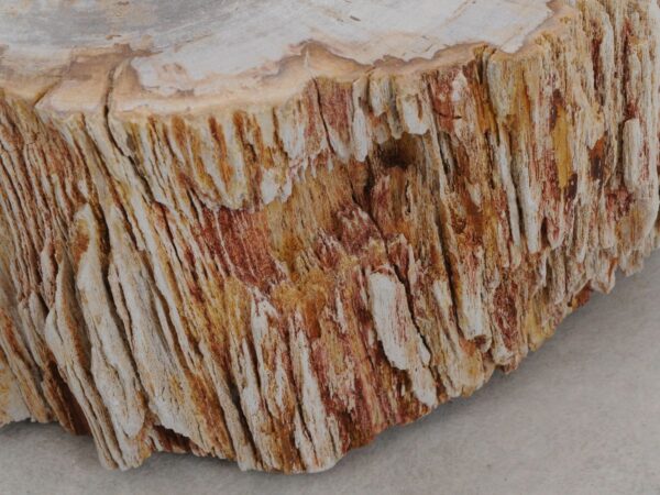 Grafsteen versteend hout 48186